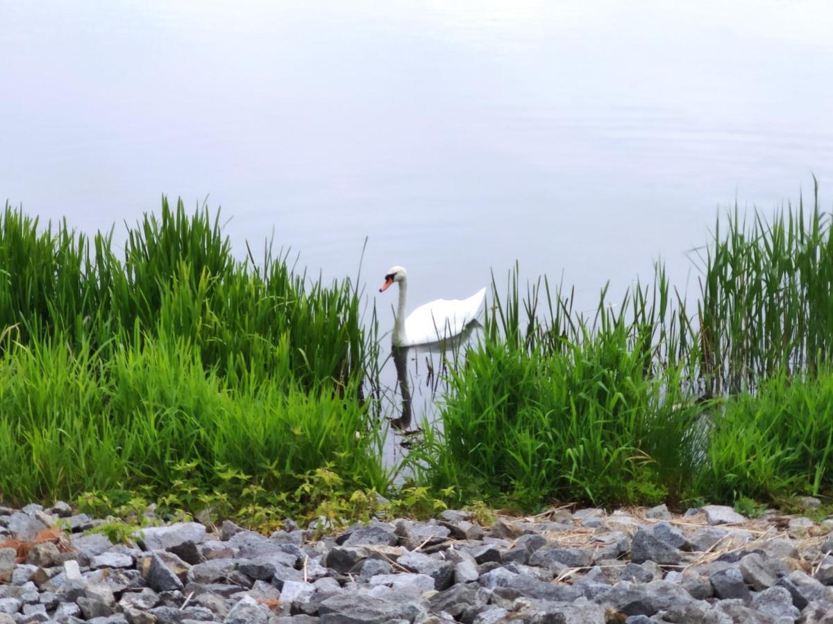 Miodowa Sadyba Domki Caloroczne Kluczbork Ligota Zamecka Dış mekan fotoğraf